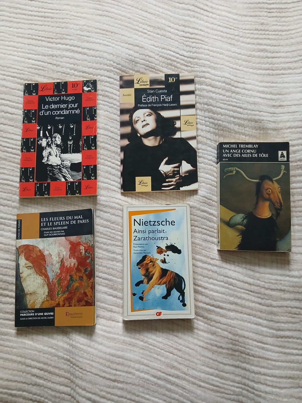 Vintage French Books Lot/Edith Piaf/Nietsche/Victor HUGO/Charles Beaudelaire